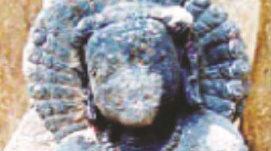 Remains of pre-historic era discovered in foothills of Devangiri in Balasore