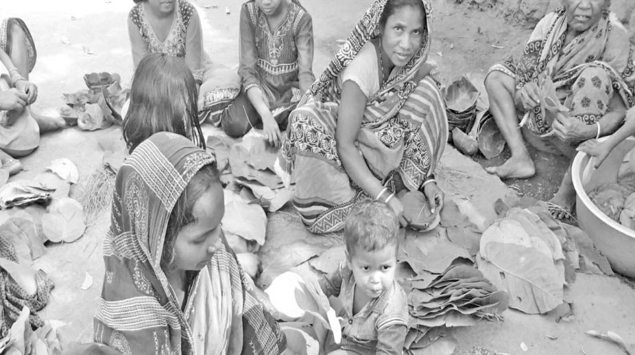 Tribals lament exploitation by middleman in sal business