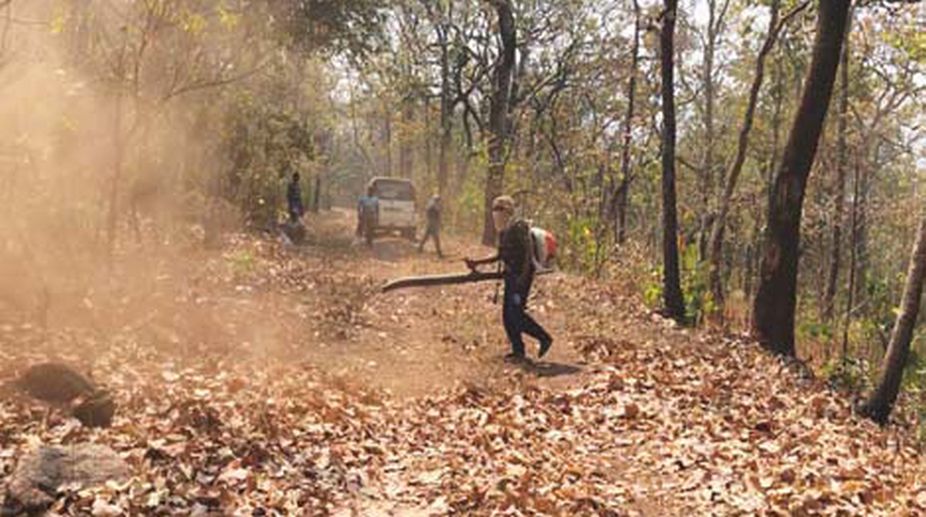 Precautionary measures initiated to check forest fires, villagers alerted