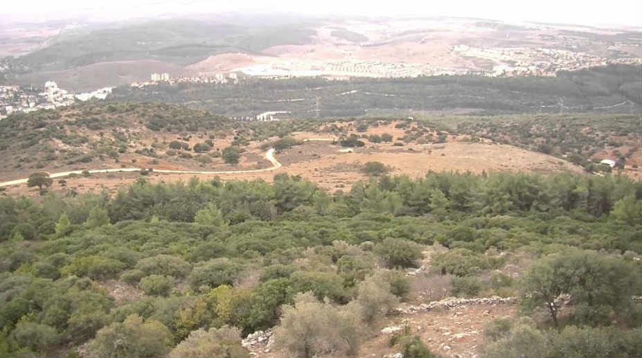 History, culture, nature. A day is full of possibilities in Israel