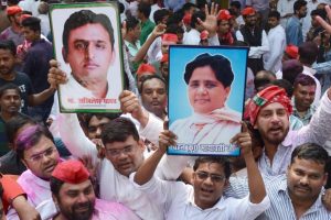 UP bypoll results: SP, BSP purge saffron surge; how far will Mayawati-Akhilesh bonhomie go?