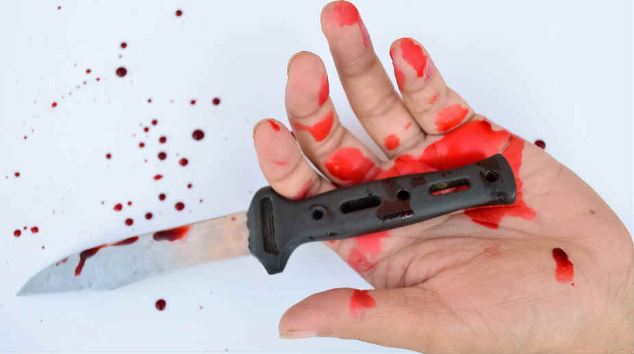 Haryana man fatally stabbed in Goa over water bottle