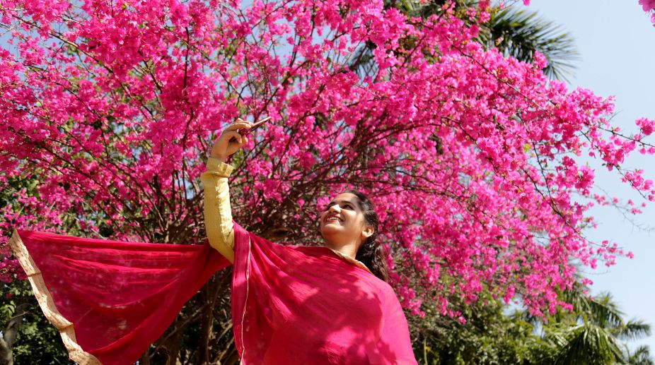 In pics: Bloom boom in Chandigarh!