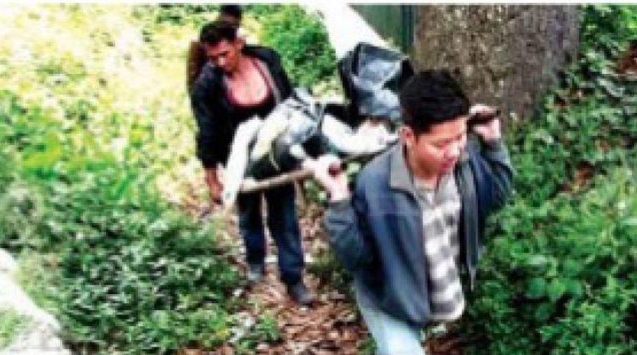 Kalimpong’s poisonous mushrooms: Deaths toll 5, bodies exhumed for postmortem