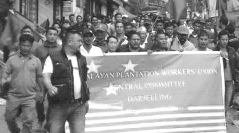 Trade union blocks Rangli-Rangliot tea dispatch