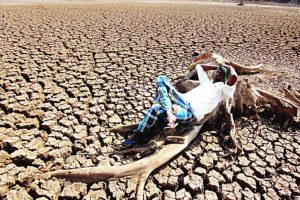 Climate and food security~II