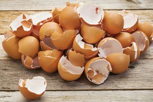 Eggs can be dangerous to health
