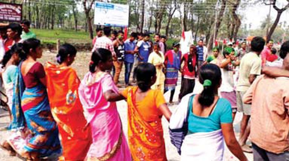 TMC efforts fail to stop lotus bloom in Dooars tea belt