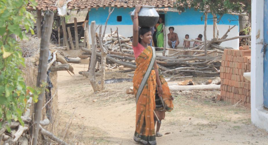 farmer, sugarcane fields, wildlife experts, WWF Tigers Alive