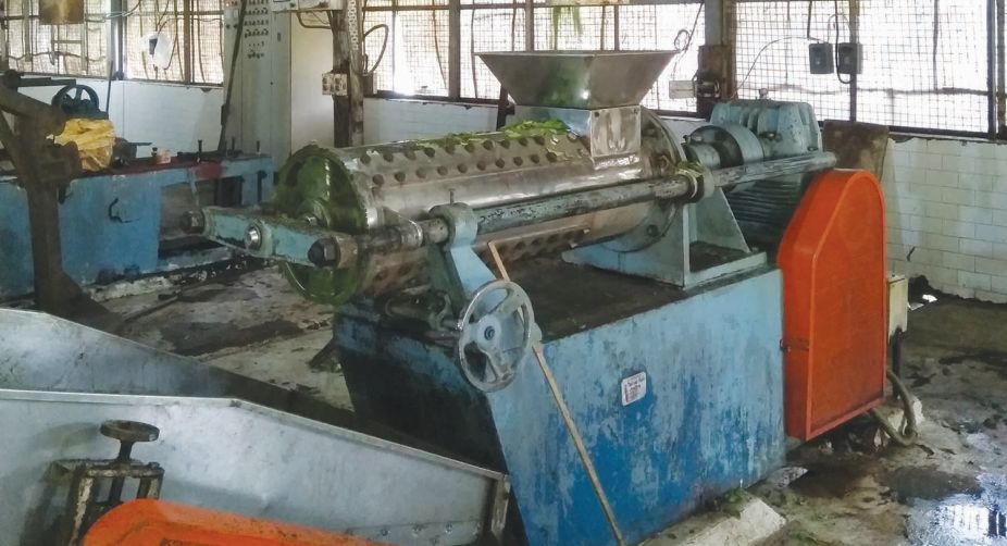 British East India Company, tea gardens, tripura's tea industry