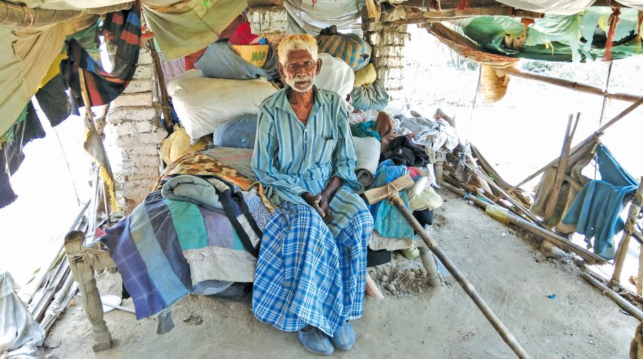Traditional livelihoods replaced with despair
