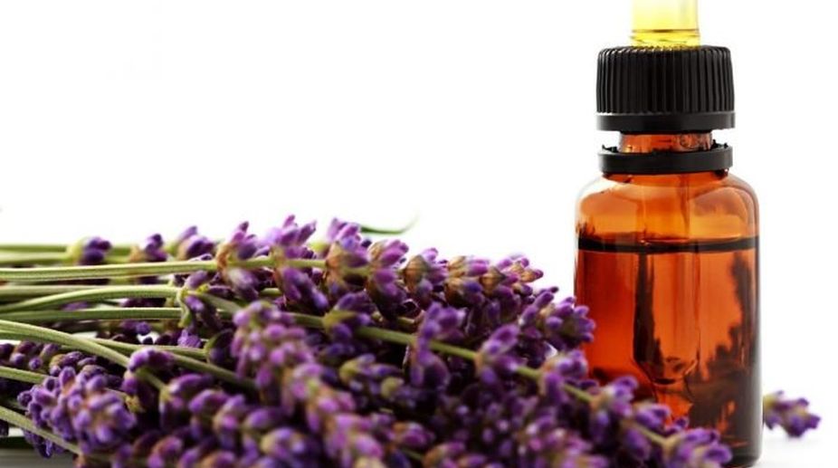 Lavender oil
