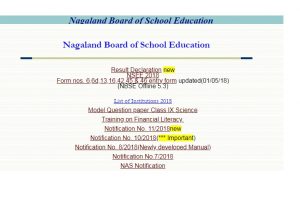 Nagaland NBSE Class 10 Results 2018, HSLC pass percentage released on www.nbsenagaland.com | Vivotsonuo Sorhie tops exam