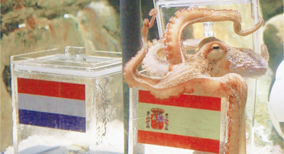 Paul the Octopus predicts Spain as the winner of the 2010 Fifa World Cup final