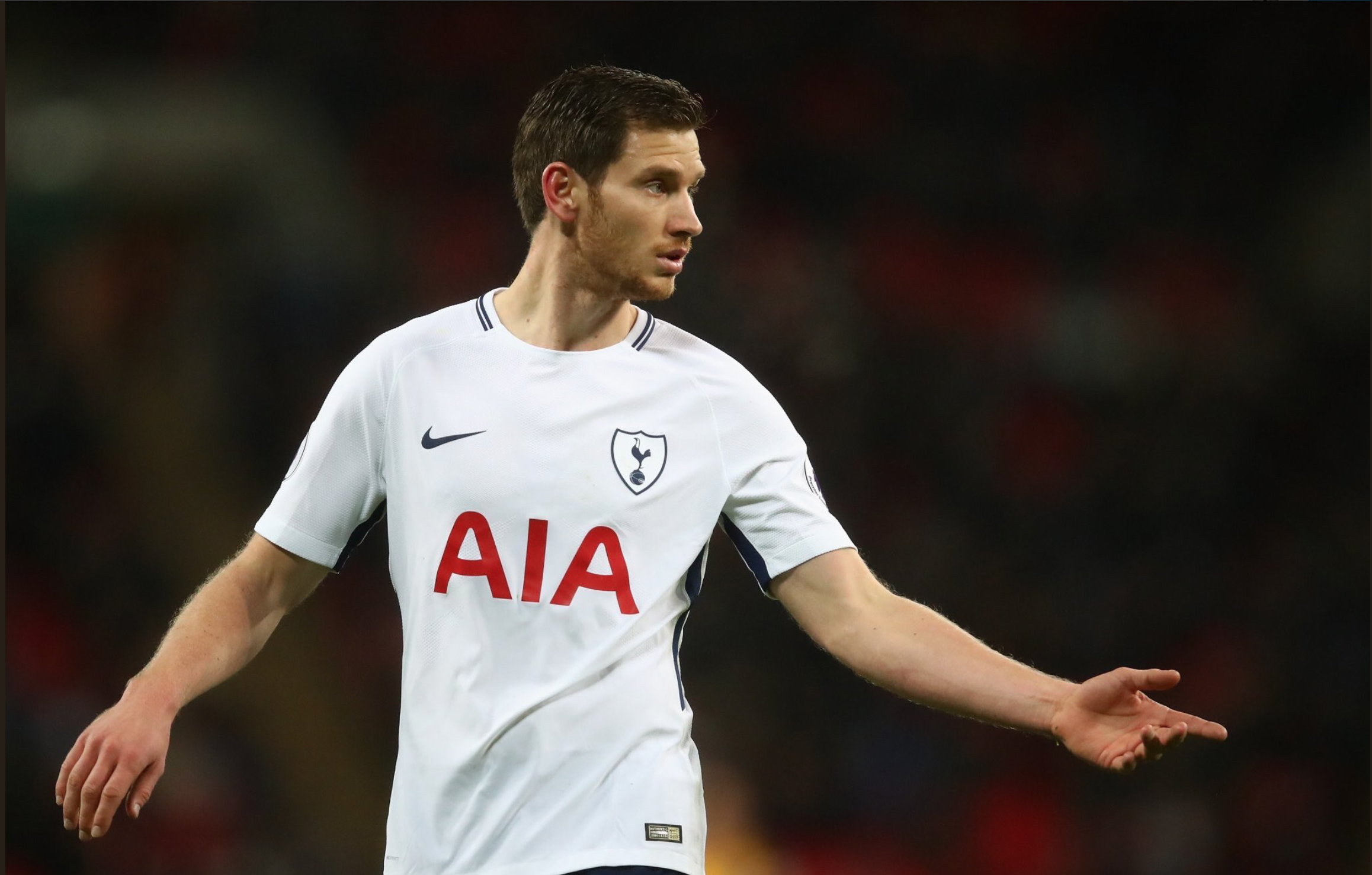Jan Vertonghen, Tottenham Hotspur F.C., Premier League, Premier League Team of the Season