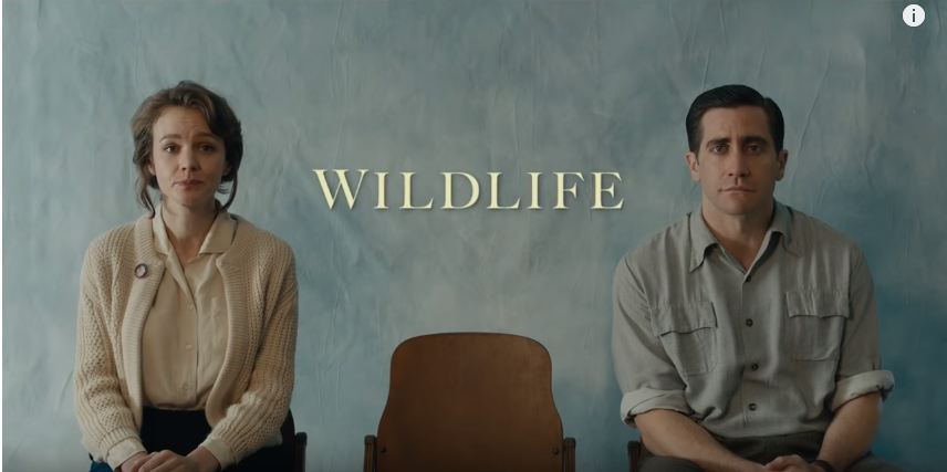 Wildlife | Official Trailer | Jake Gyllenhaal | Carey Mulligan