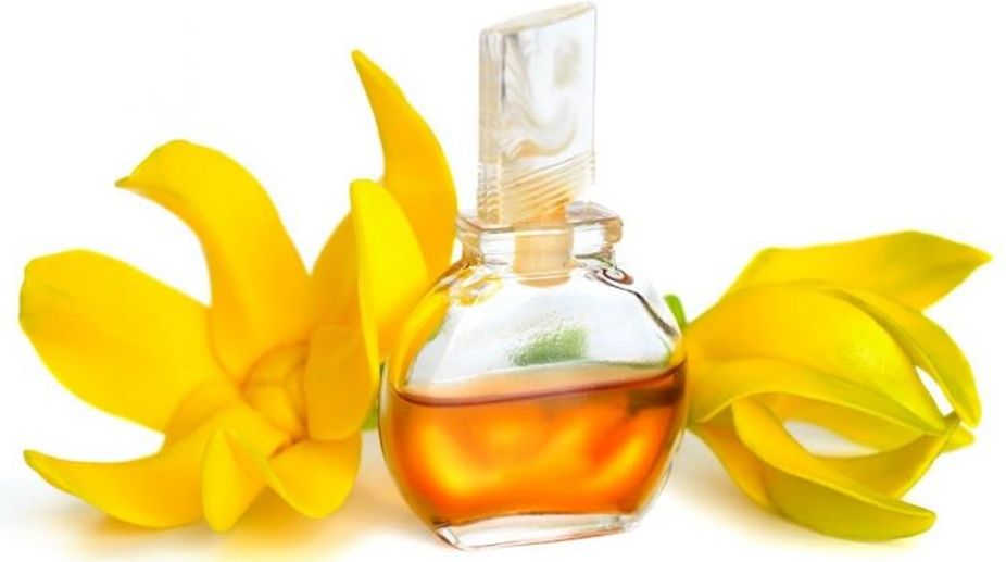 Ylang Ylang