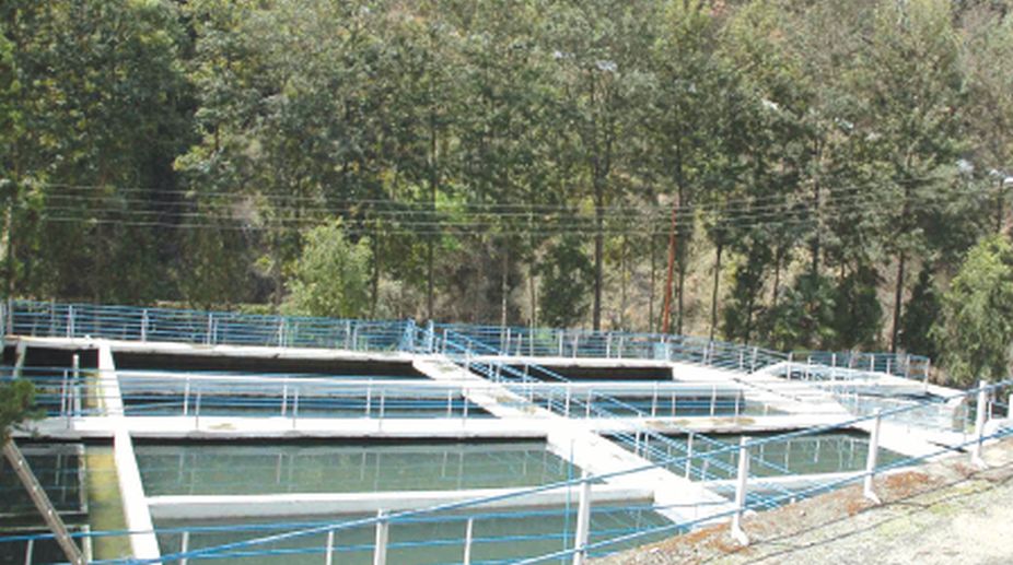 Plan to restore old water source worries Shimla locals