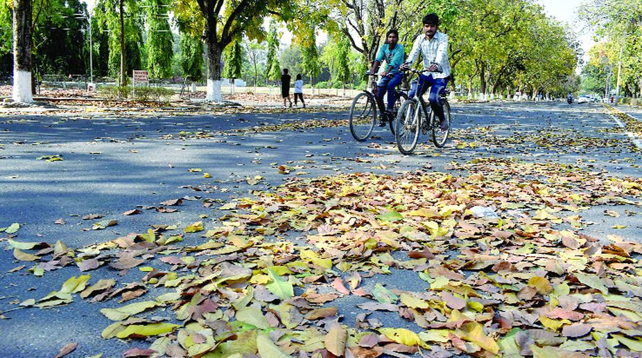 Swachhata Green Leaf Rating initiative launched to revolutionise tourism industry