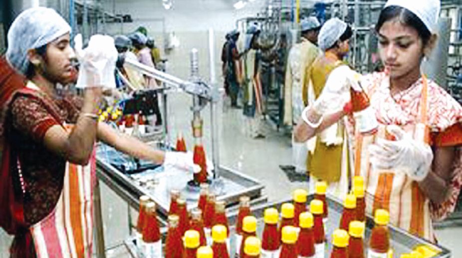employment opportunities, Food processing, technology