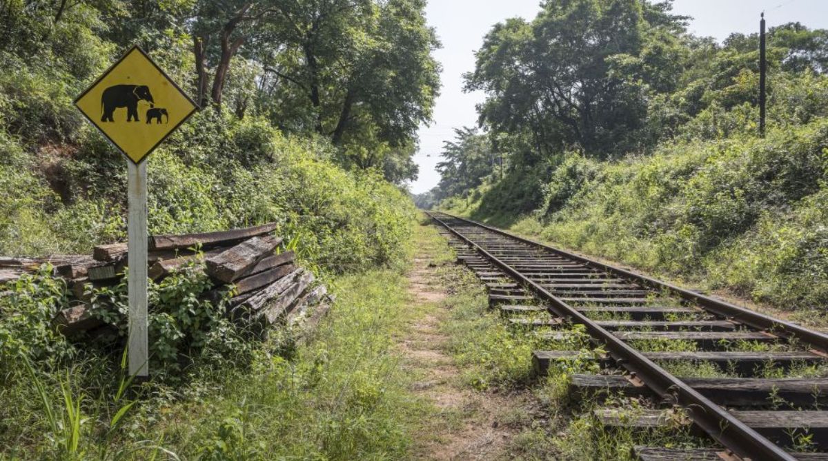 Train runs over elephant in Uttarakhand