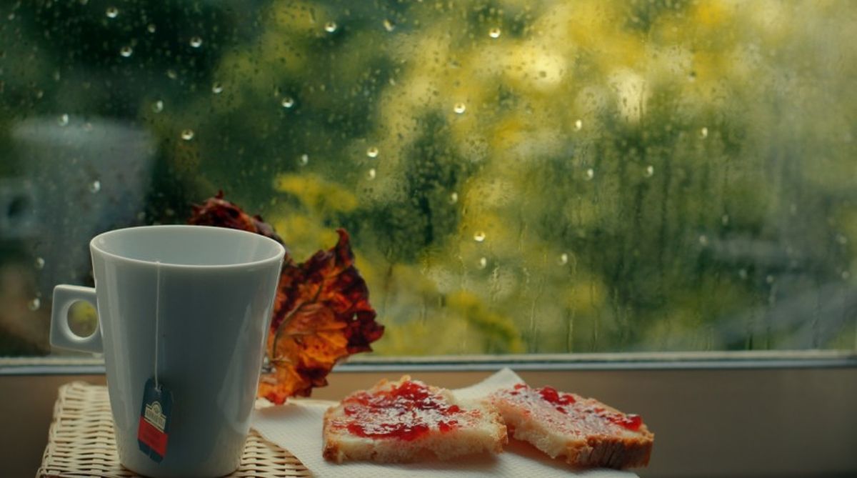 Monsoon cravings: Indulge in delicious and healthy dishes this rainy reason