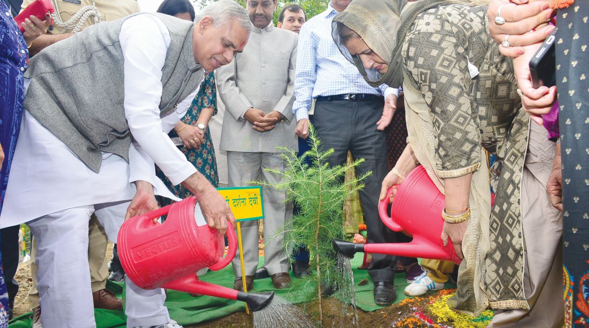 Make tree plantation a part of life, says Governor