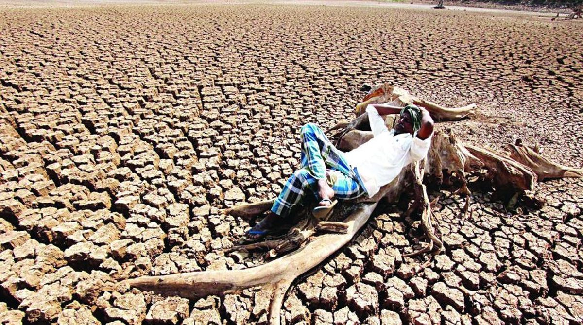 639 farmers ended lives in Maharashtra between March and May this year: Govt