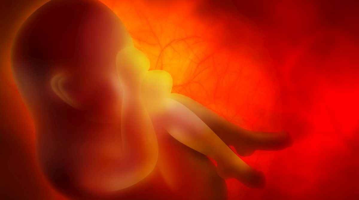 Foetus found in Delhi hospital toilet