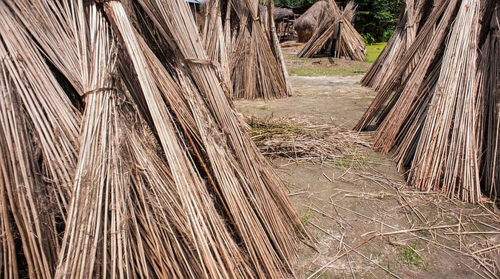 Exports Of Jute Products To Rise Despite Concerns Over Quality The