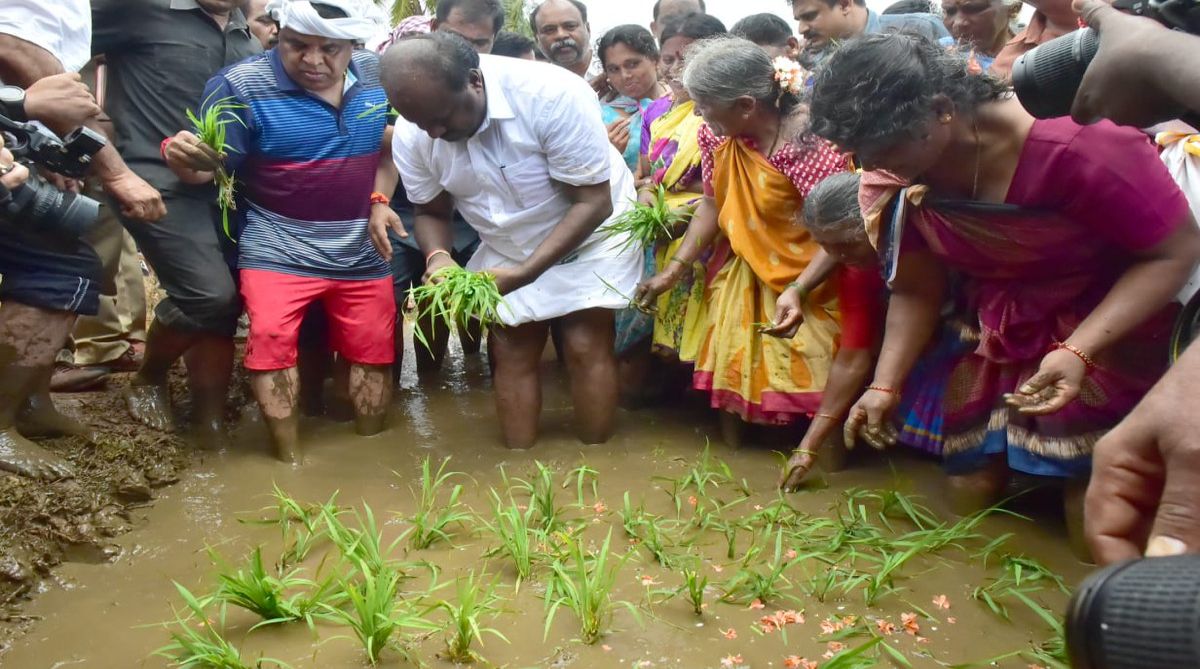 Karnataka CM turns farmer, sows paddy seedlings for bumper crop