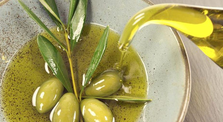 Olive oil by-product could aid exercise: Research