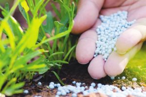 Haryana govt to check sale of spurious seeds, fertilisers & pesticides through sampling