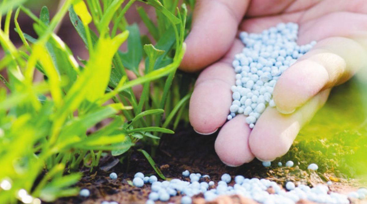 Haryana govt to check sale of spurious seeds, fertilisers & pesticides through sampling