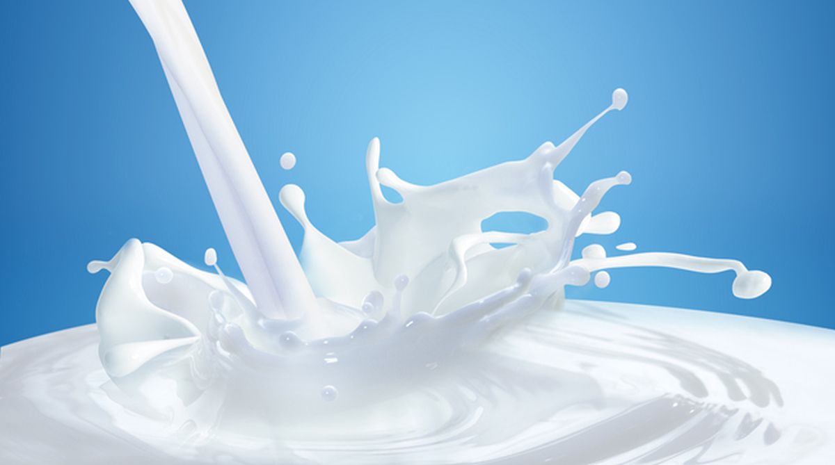 Odisha raises milk production three-fold in two decades