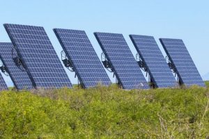 HP invites applications for solar power projects