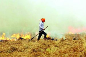 Stubble-burning responsible for 30% of Delhi’s current air-pollution