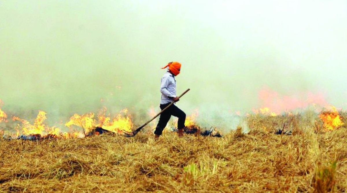 Stubble-burning responsible for 30% of Delhi’s current air-pollution
