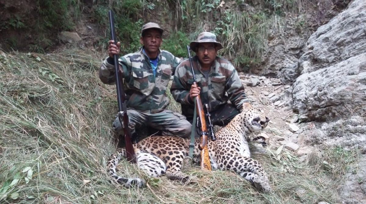 Man-eating leopard killed in Bageshwar