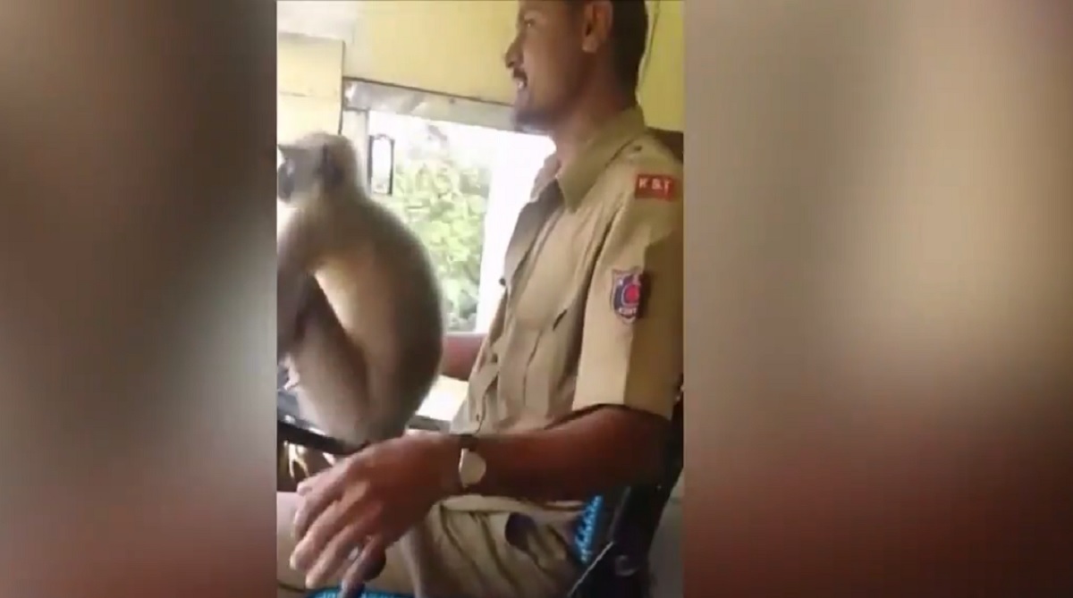 Karnataka bus driver allows monkey to steer bus, taken off duty