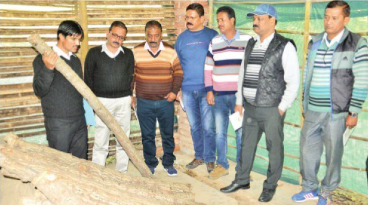 Uttarakhand forest officials get training in willow cultivation