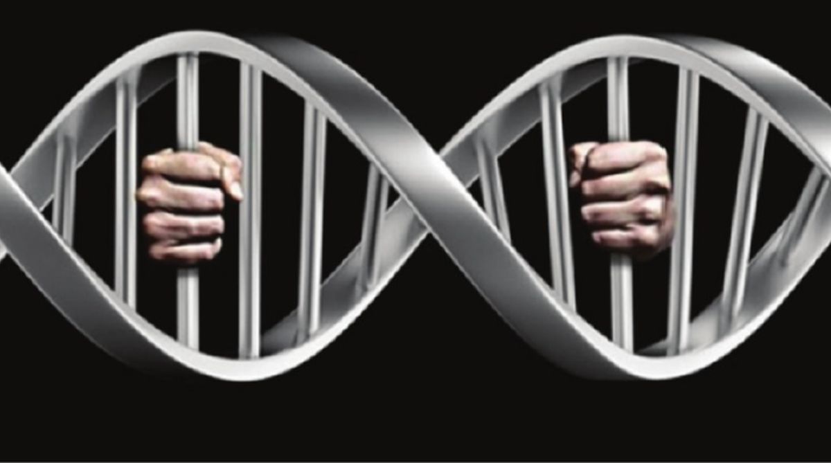Science undermined, the law defiled