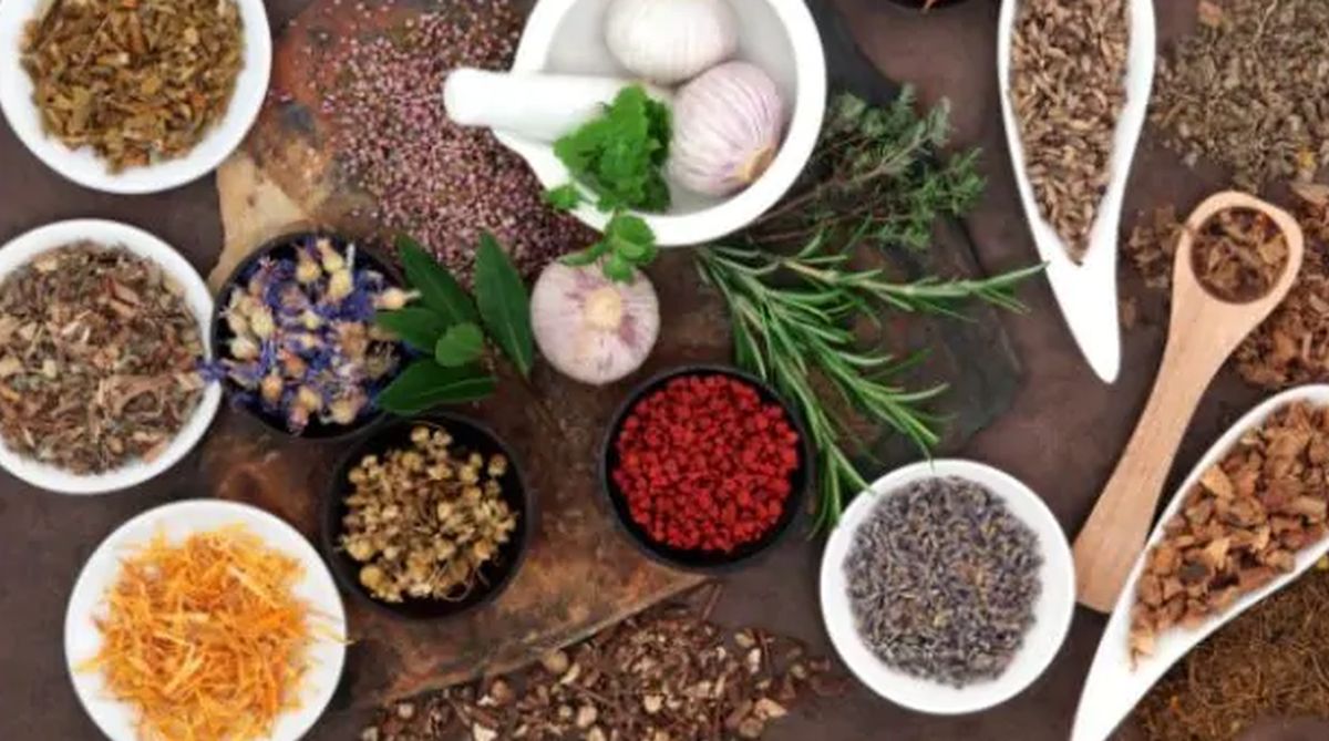 5 natural herbs to build your body, boost energy - The Statesman