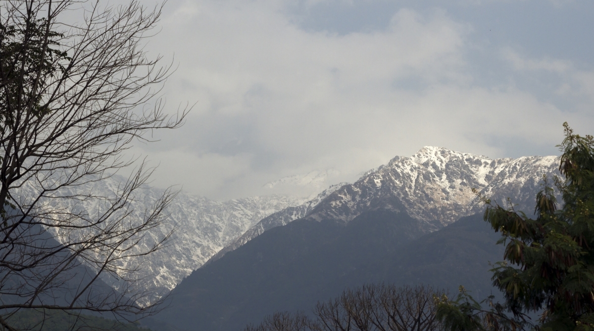 Himachal Snow