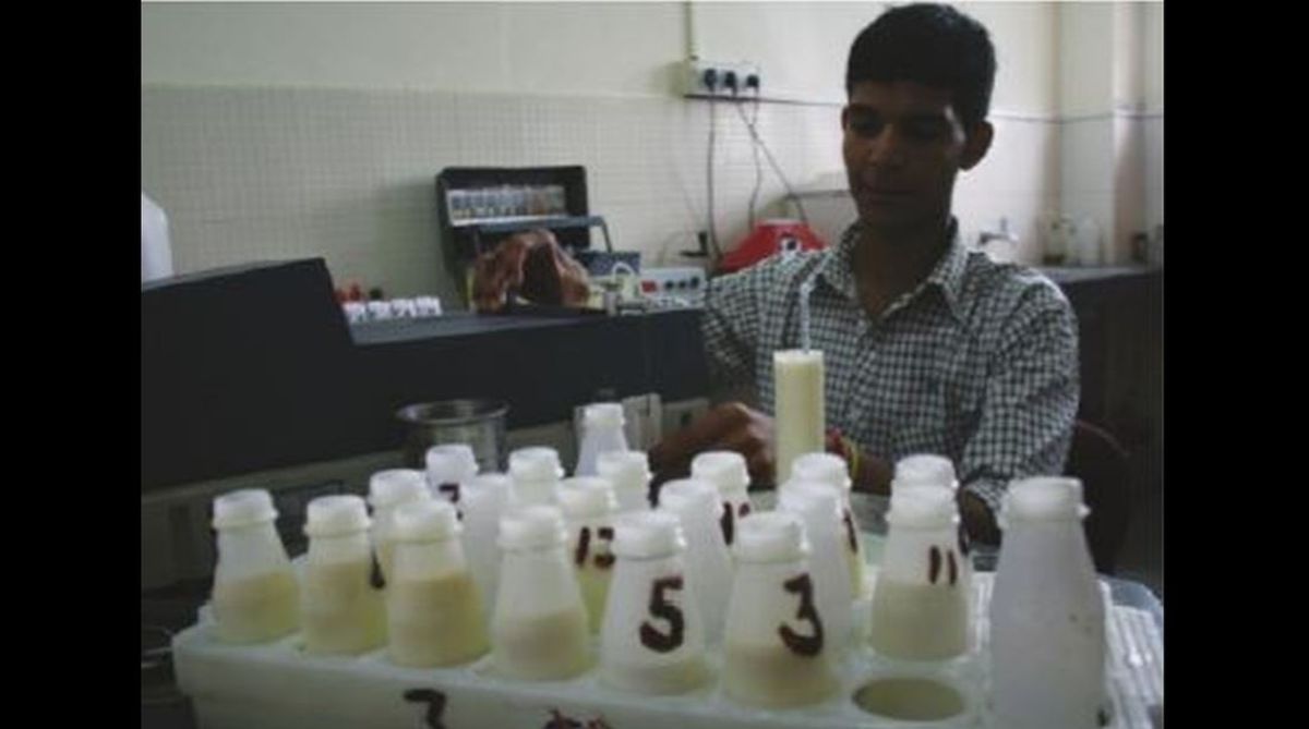 Himachal, milk processing plants, Milk Producers’ Federation Ltd, Dairy, Animal Husbandry, Milkfed