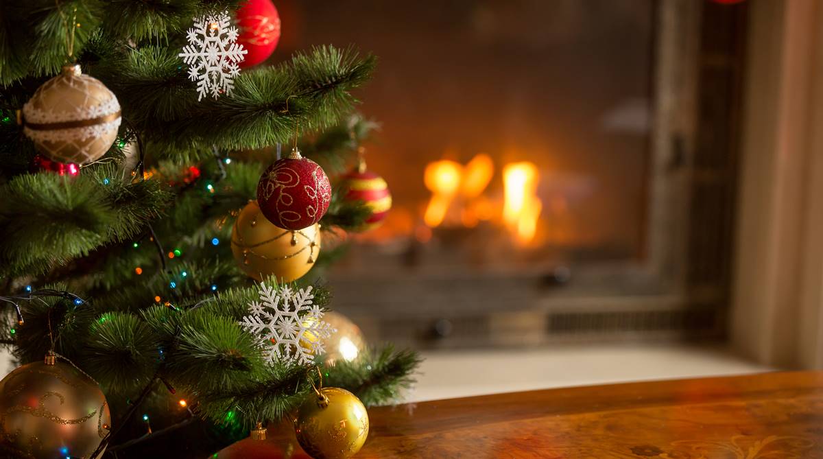 Darjeeling, Christmas, Darjeeling Christmas, Vasudhaiva Kutumbakam, Jesus Christ, Christmas carols