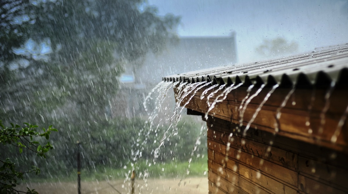 Rain brings down temperature in Punjab, Haryana - The Statesman