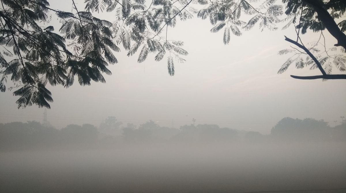 Cold wave intensifies in Punjab, Haryana