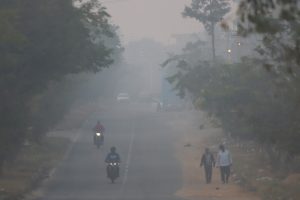 Misty Tuesday morning in Delhi