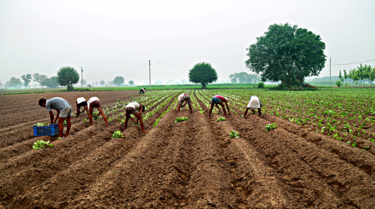 Centre Prepares a data bank of ‘federated farmers’